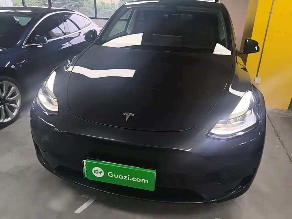 Tesla Model Y — миниатюра 3