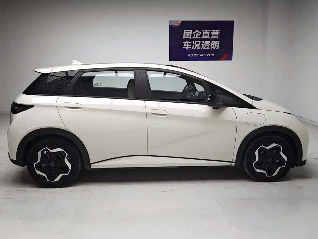 BYD Dolphin — миниатюра 7