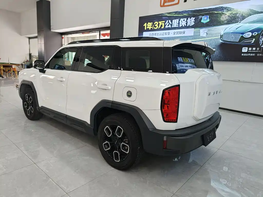 Haval Cool Dog — миниатюра 6