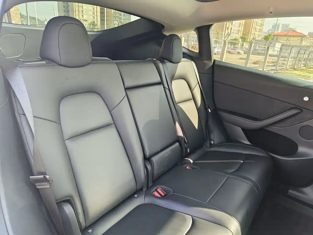 Tesla Model Y — миниатюра 17