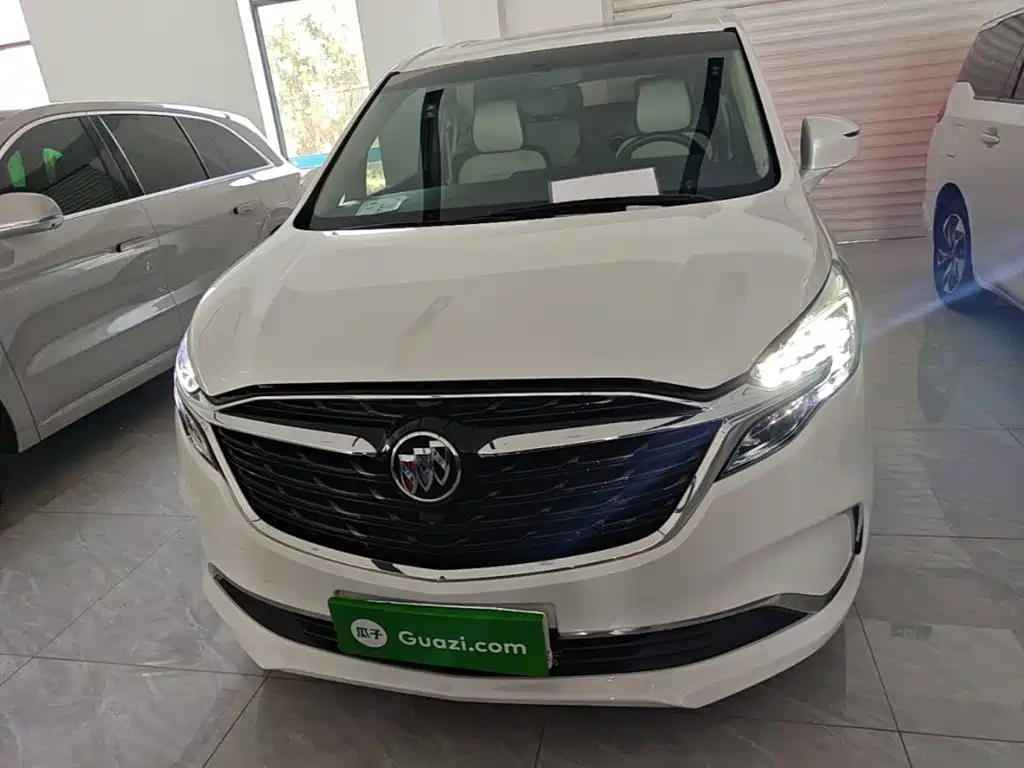Buick GL8 — миниатюра 3