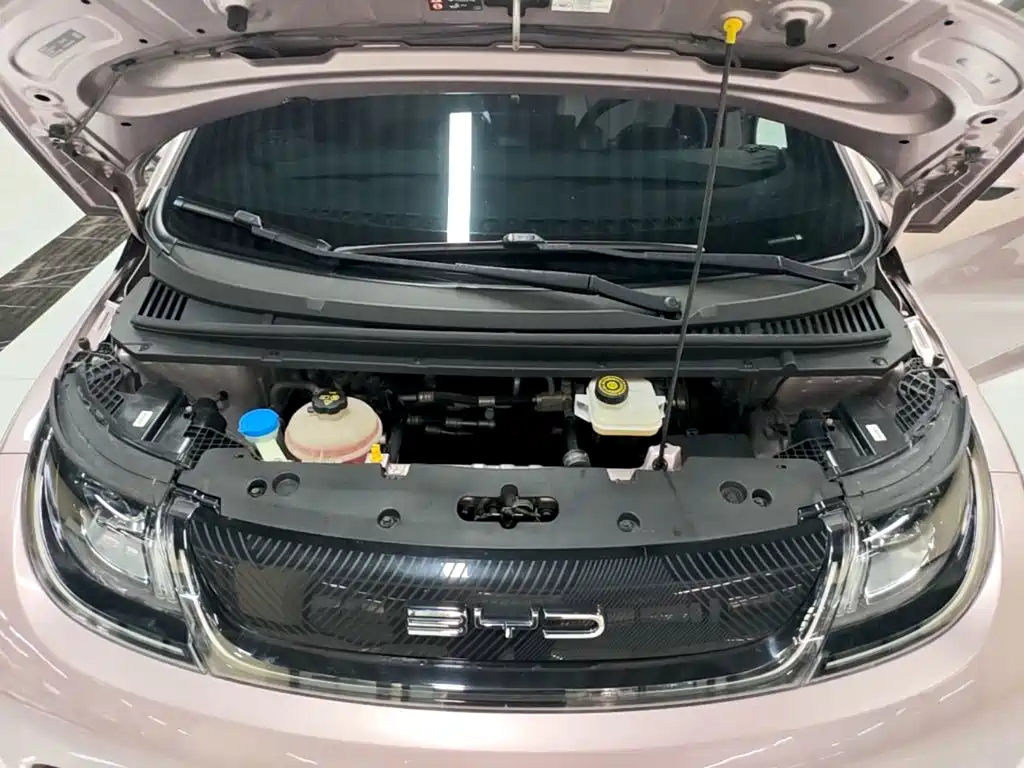 BYD Dolphin — миниатюра 20