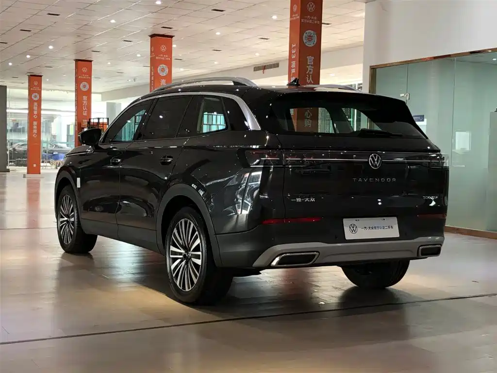 Volkswagen Tavendor — миниатюра 17