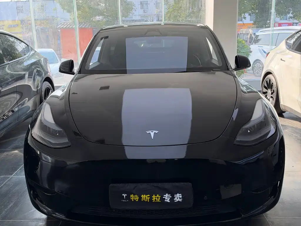 Tesla Model Y — миниатюра 2