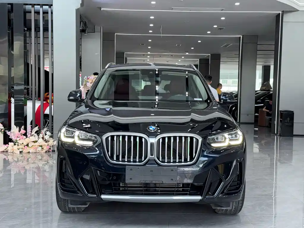 BMW X3 — миниатюра 2