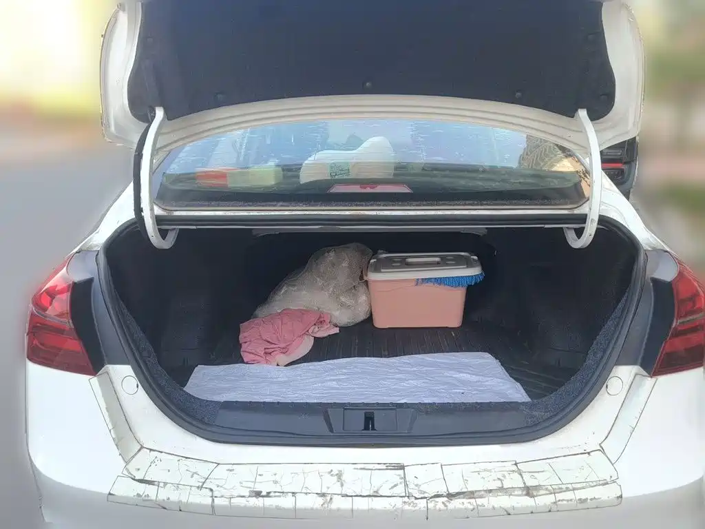 Geely Emgrand — миниатюра 15