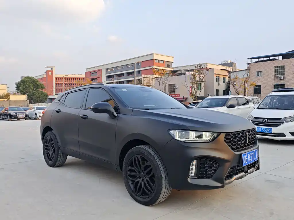 WEI PAI WEI BRAND VV5