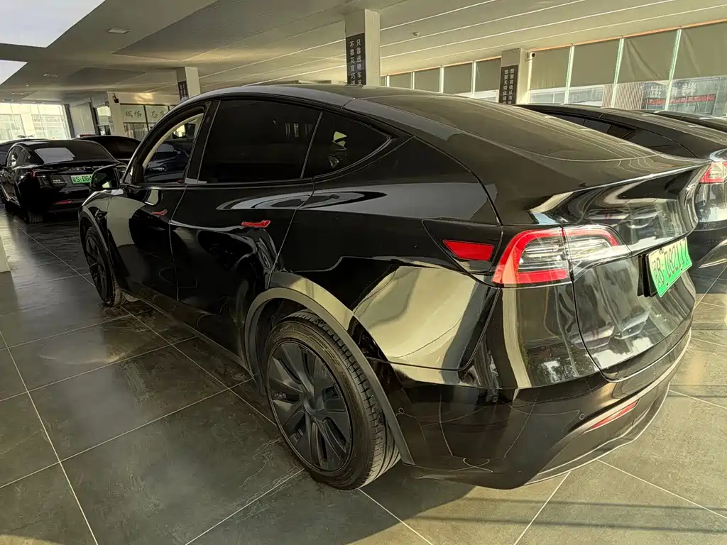 Tesla Model Y — миниатюра 7