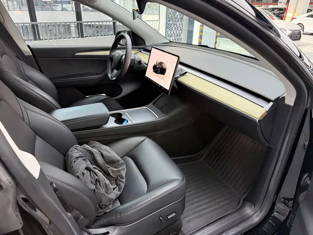 Tesla Model Y — миниатюра 11