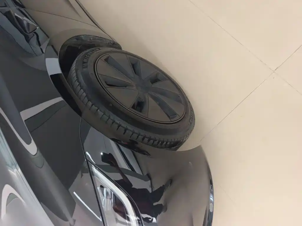 Tesla Model 3 — миниатюра 23