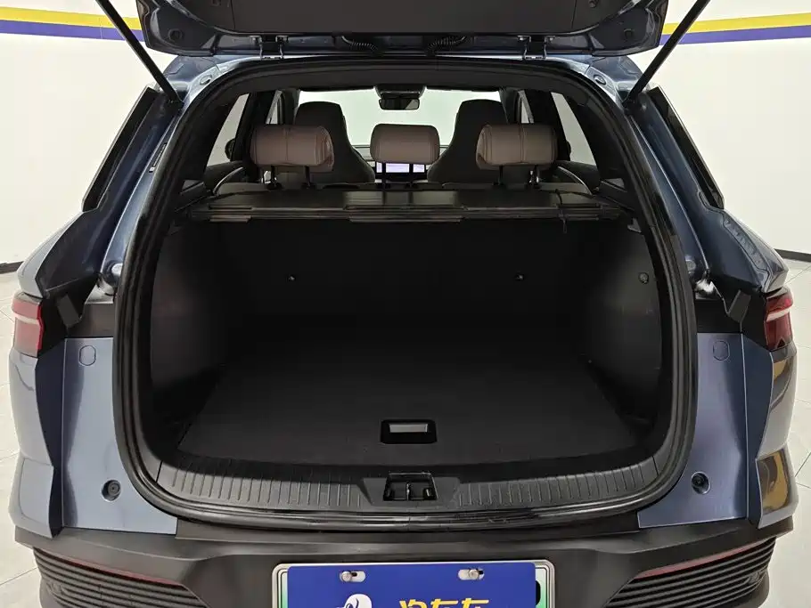 BYD Pro New Energy — миниатюра 4
