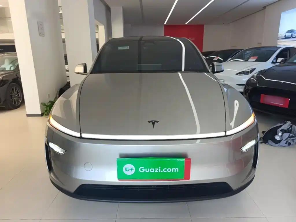 Tesla Model Y L — миниатюра 3