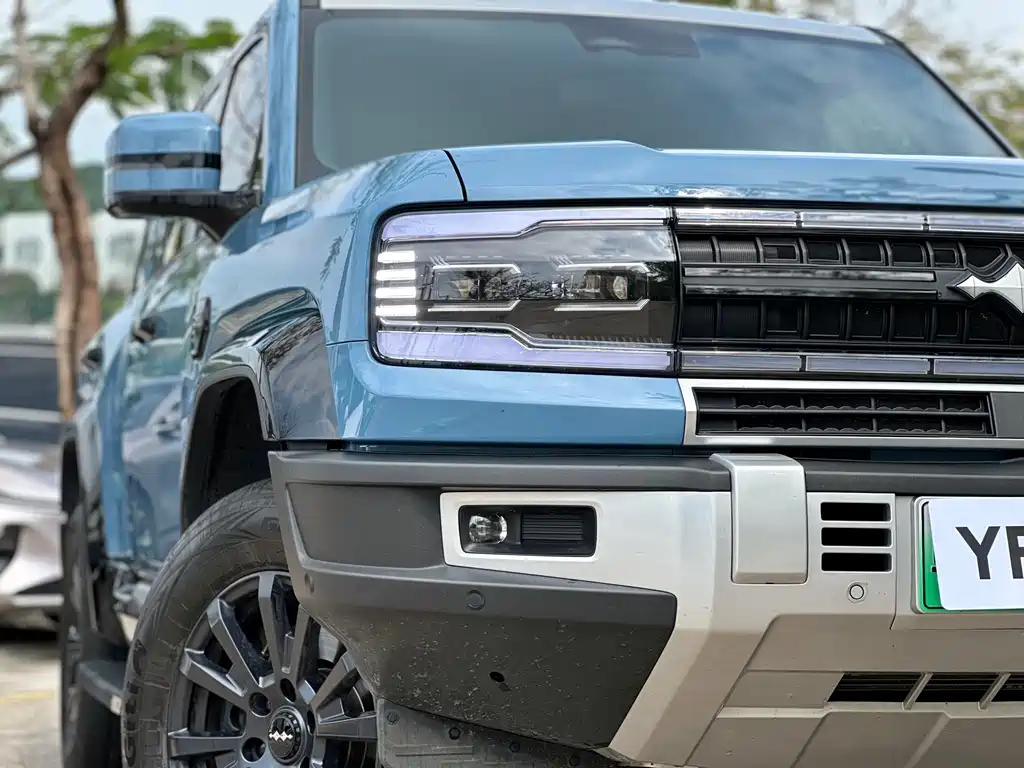 FANG CHENG BAO LEOPARD 5