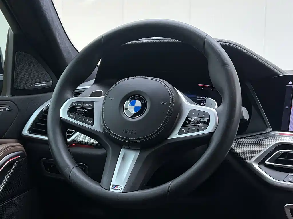 BMW X6 — миниатюра 17