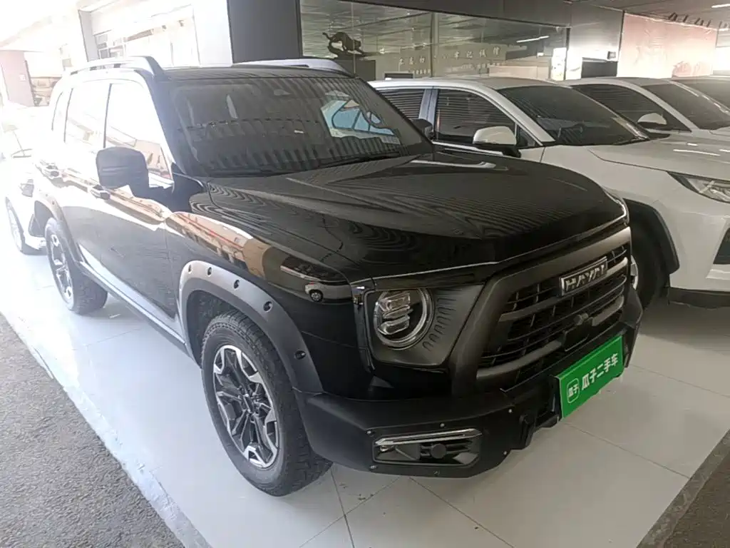Haval Big Dog — миниатюра 4