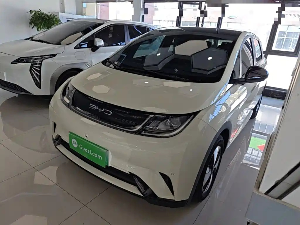BYD Dolphin — миниатюра 2