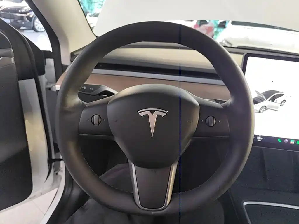 Tesla Model Y — миниатюра 11