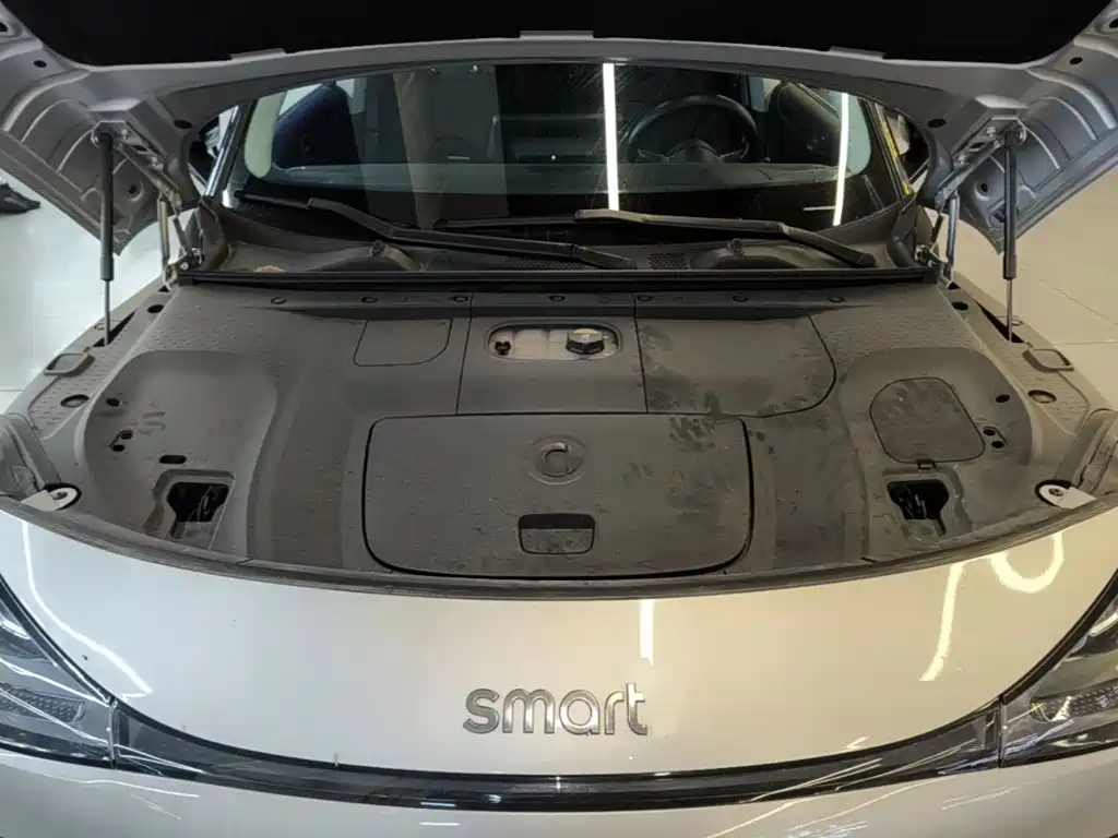 smart Smart #1 — миниатюра 20