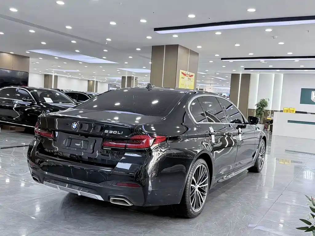 BMW 5 Series — миниатюра 7