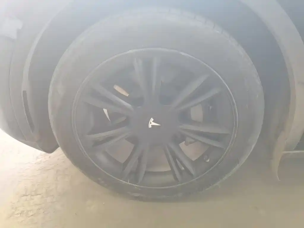 Tesla Model Y — миниатюра 23