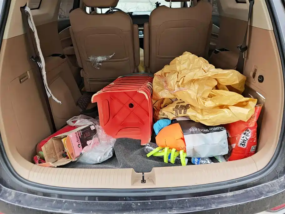 WULING AUTOMOBILE WULING CAPGEMINI