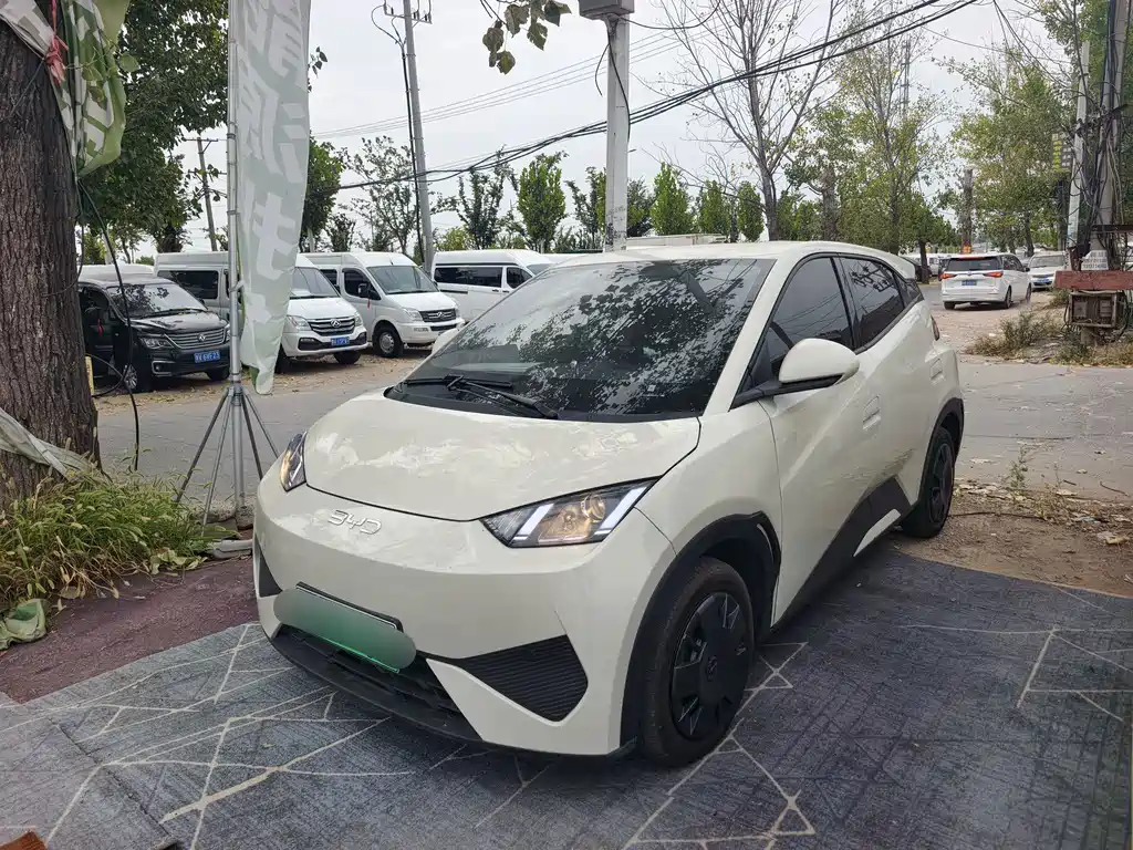 BYD Seagull