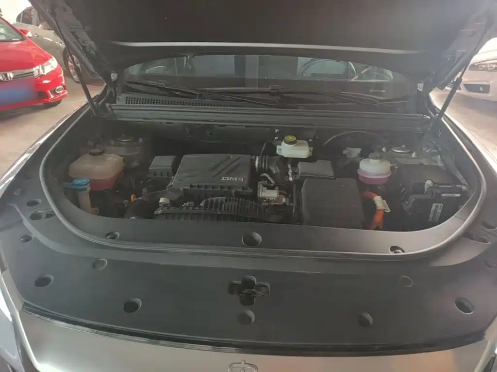BYD Pro New Energy — миниатюра 20