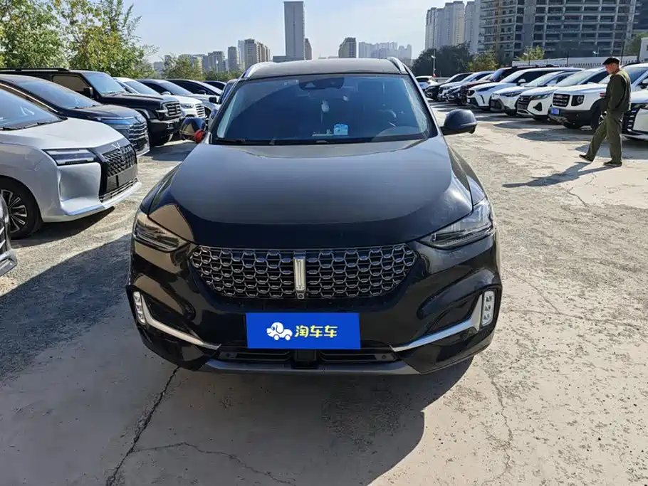 Wey Wey VV6 — миниатюра 2
