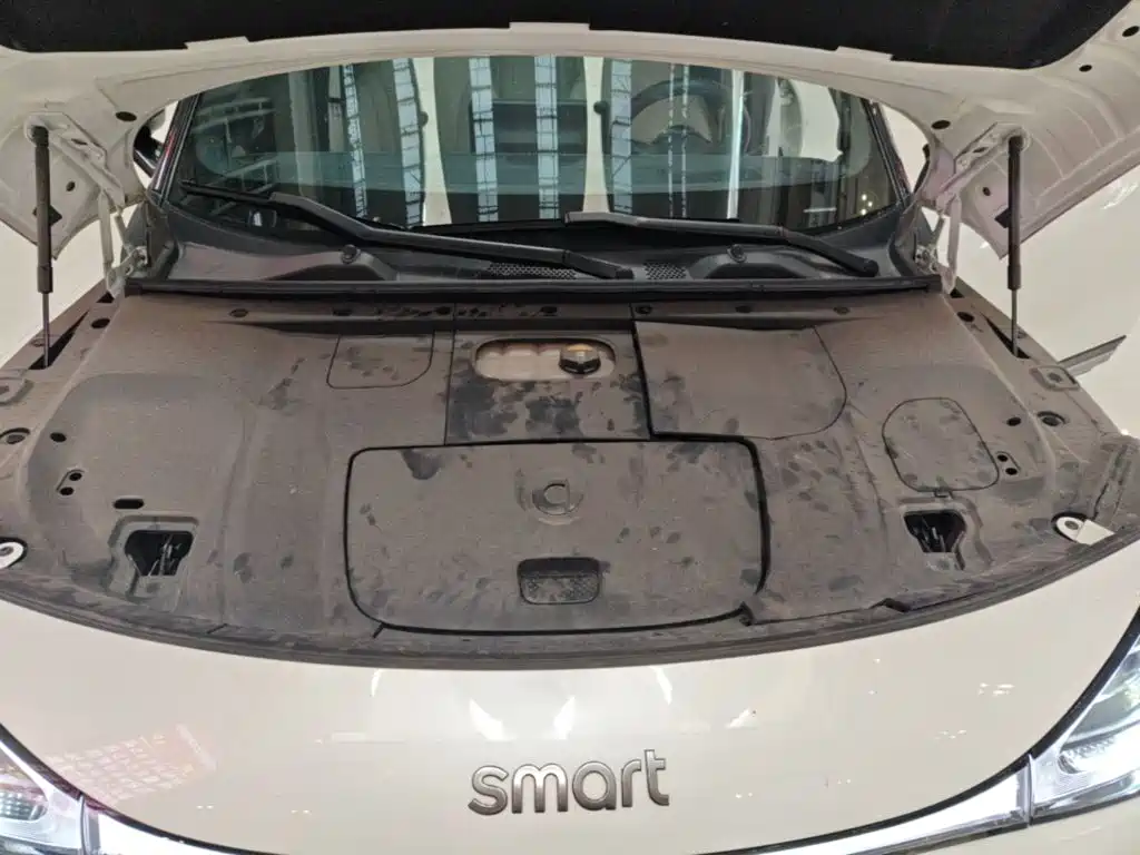 smart Smart #1 — миниатюра 20