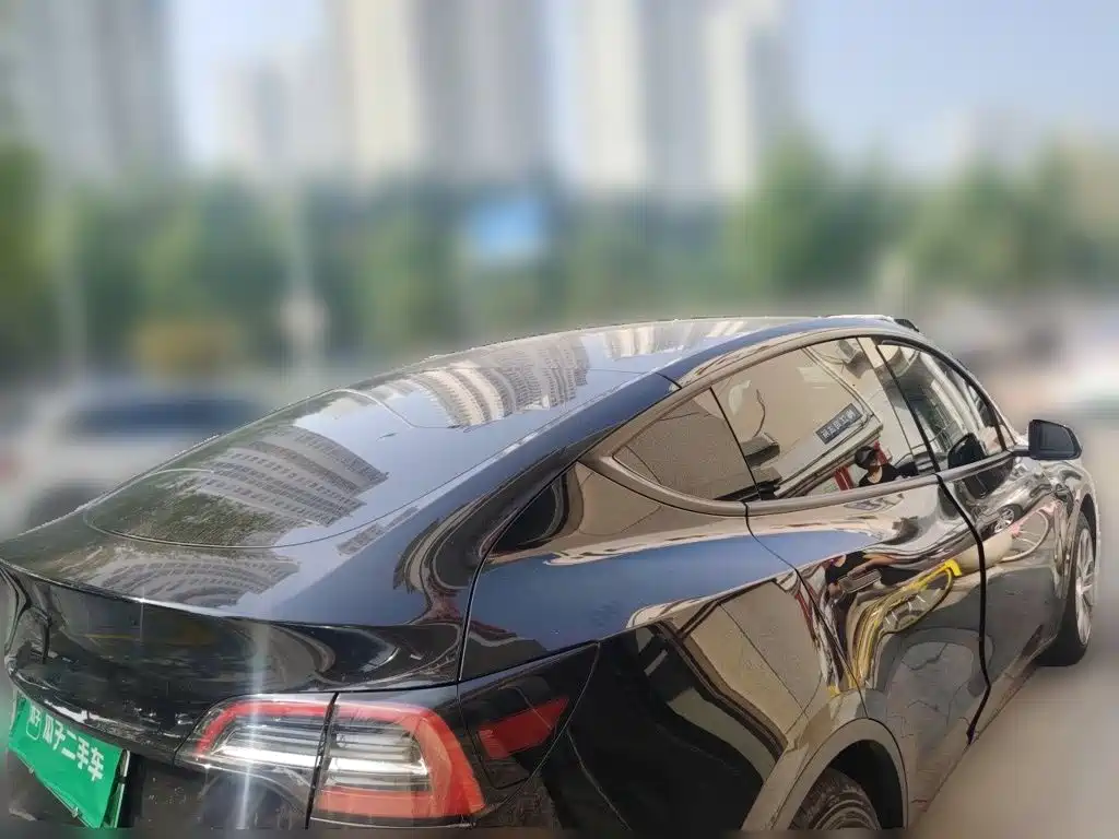 Tesla Model Y — миниатюра 6