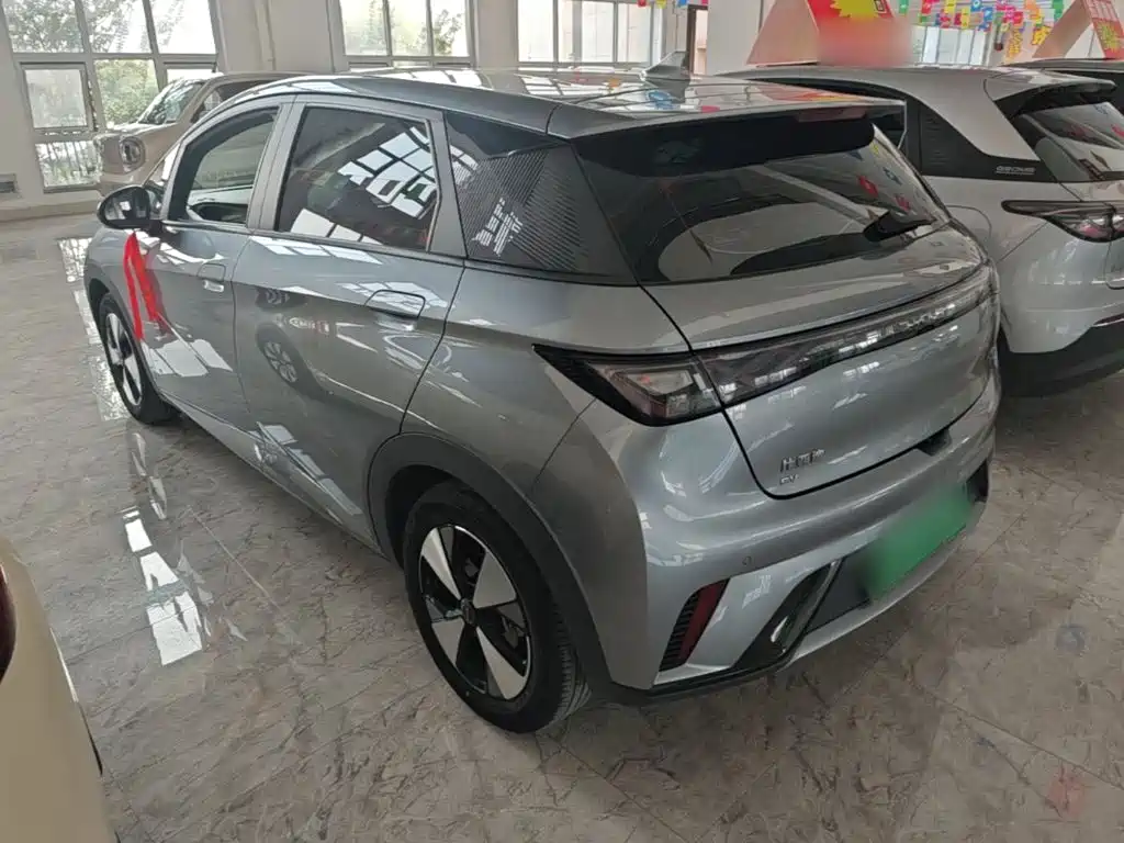 BYD Dolphin — миниатюра 5