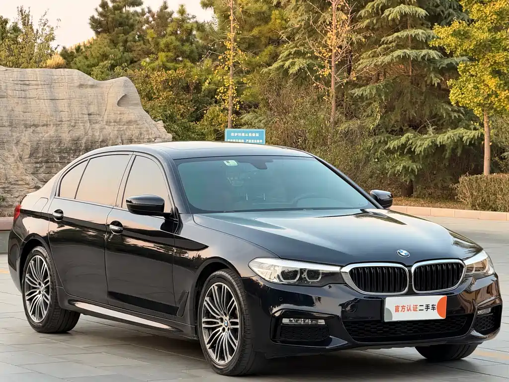 BMW 5 Series — миниатюра 3