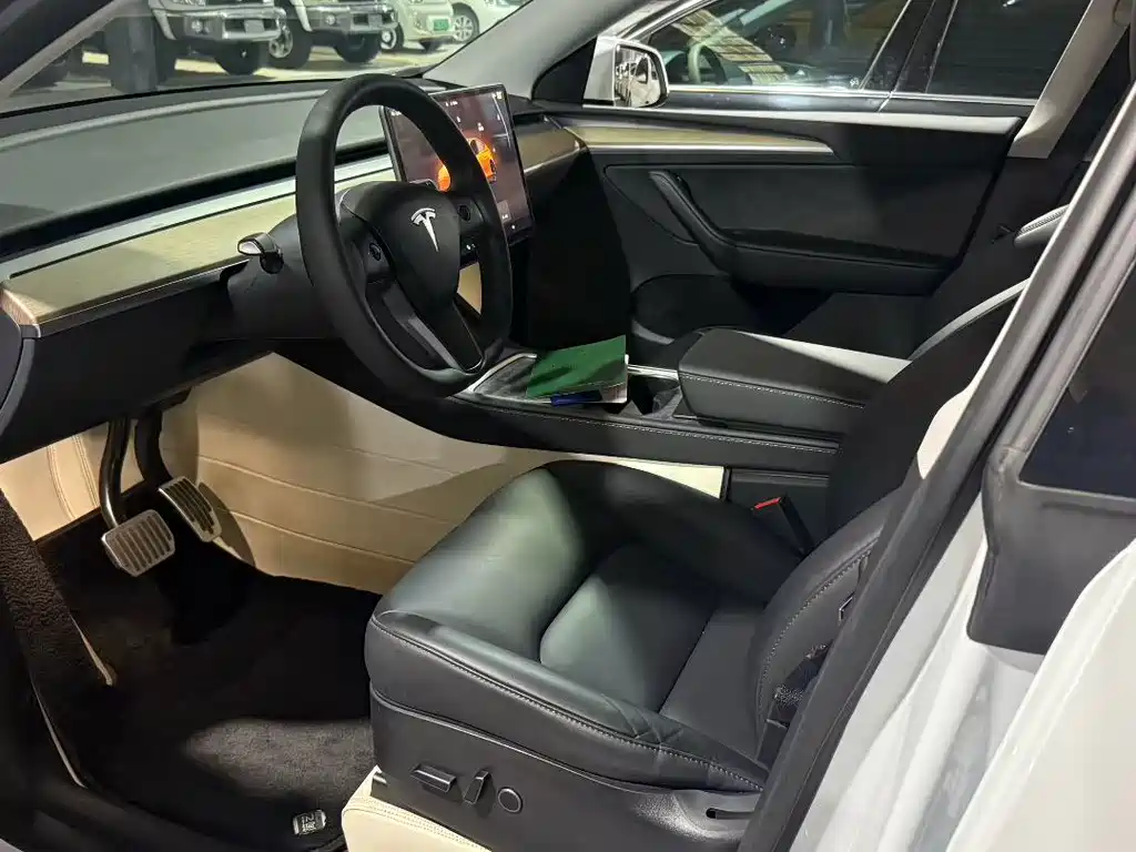 Tesla Model Y — миниатюра 2
