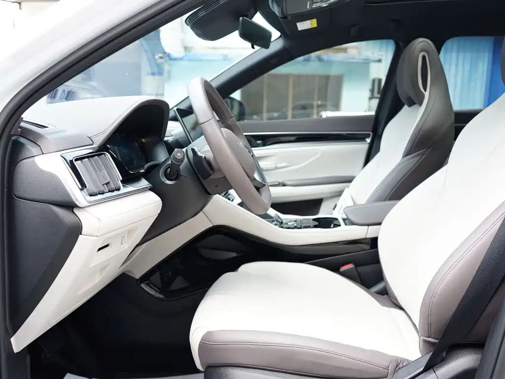 BYD PLUS New Energy — миниатюра 4