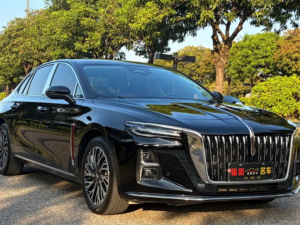 Hongqi Hongqi H5 — миниатюра 3