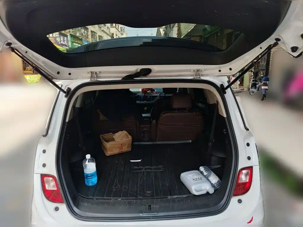 Buick GL6 — миниатюра 20