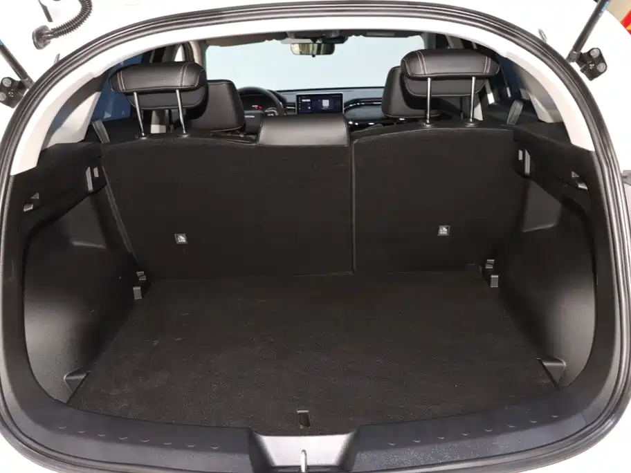 Haval Chitu — миниатюра 17
