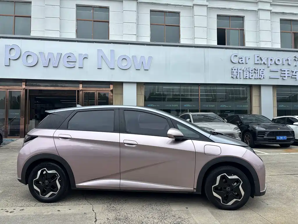 BYD Dolphin — миниатюра 4