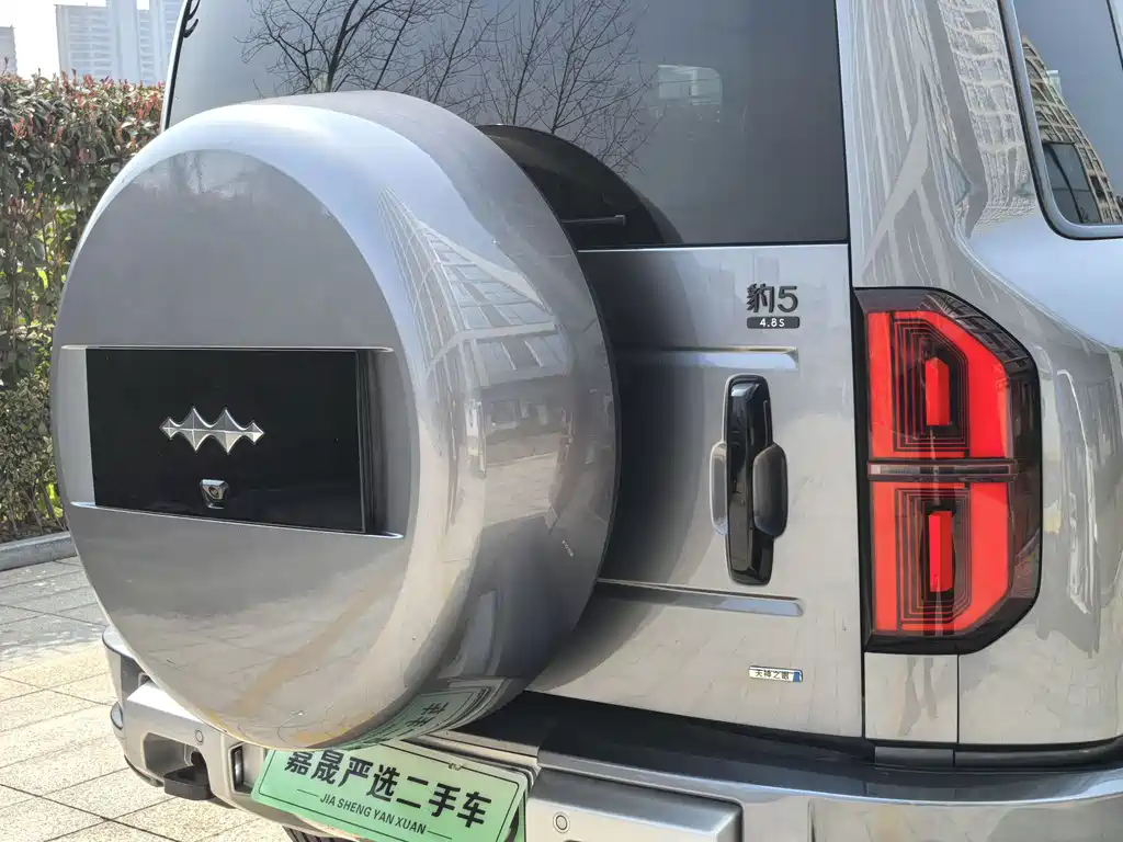 FANG CHENG BAO LEOPARD 5