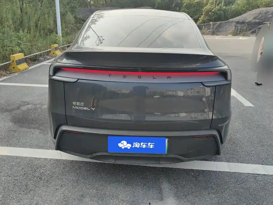 Tesla Model Y — миниатюра 4