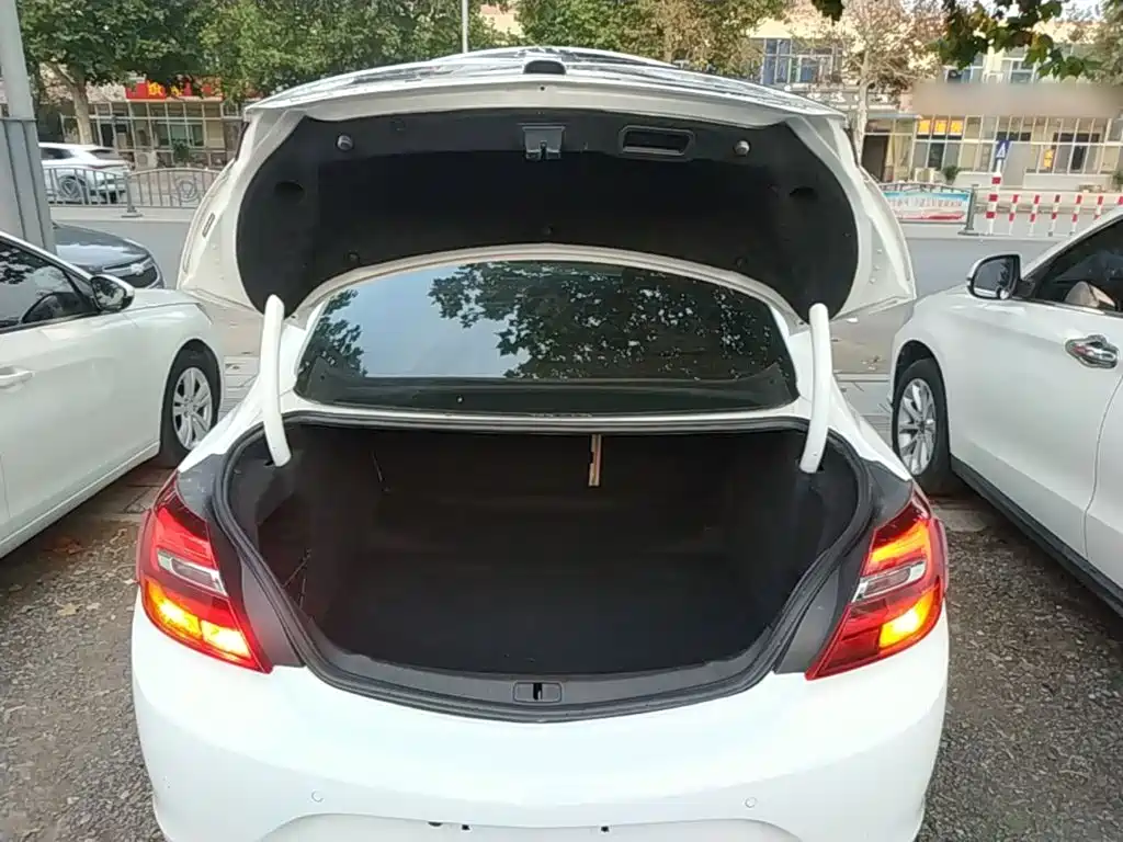 Buick Regal — миниатюра 19