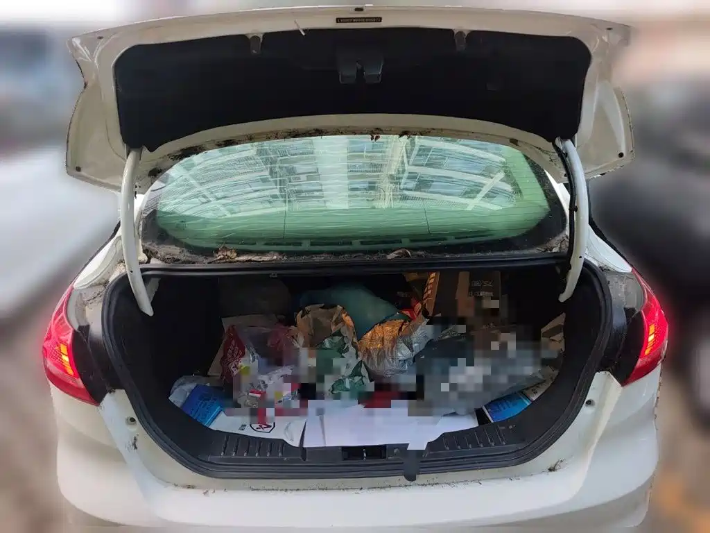 Ford Focus — миниатюра 15