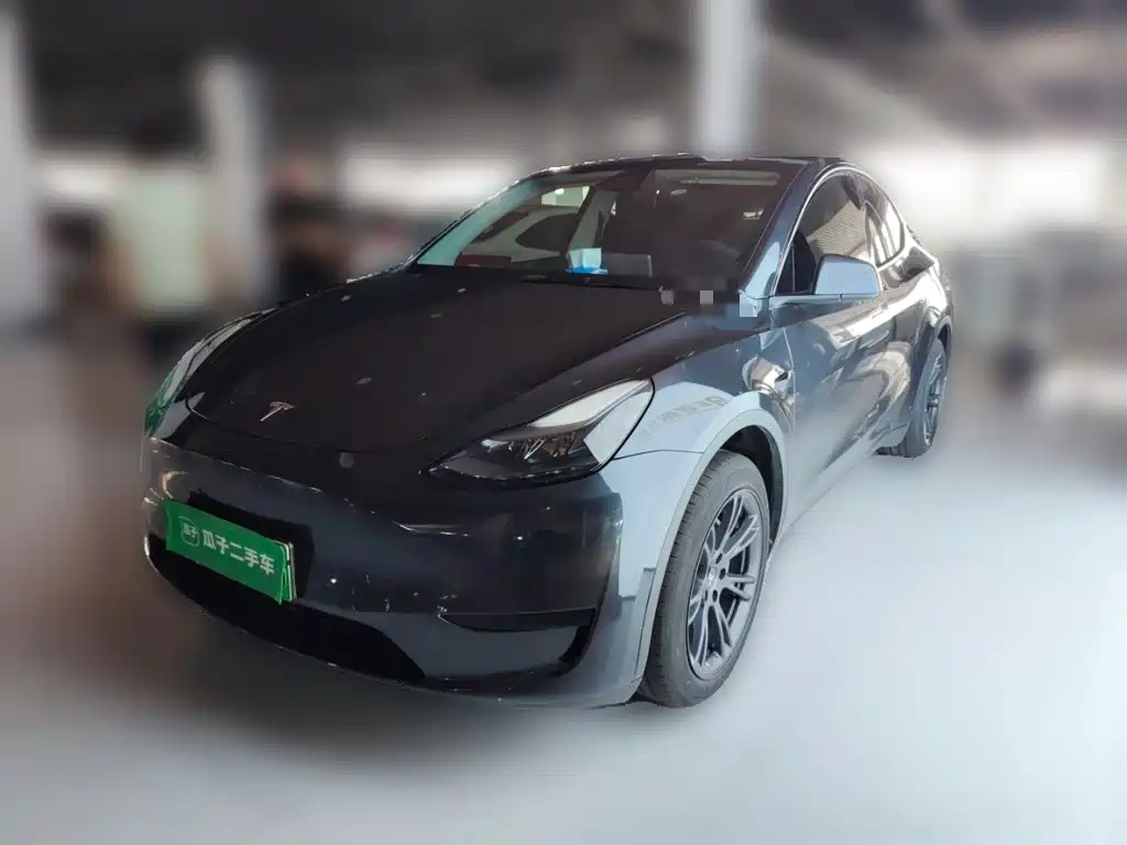 Tesla Model Y — миниатюра 2