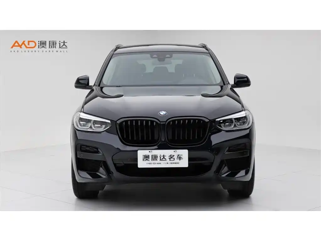 BMW X3 — миниатюра 2