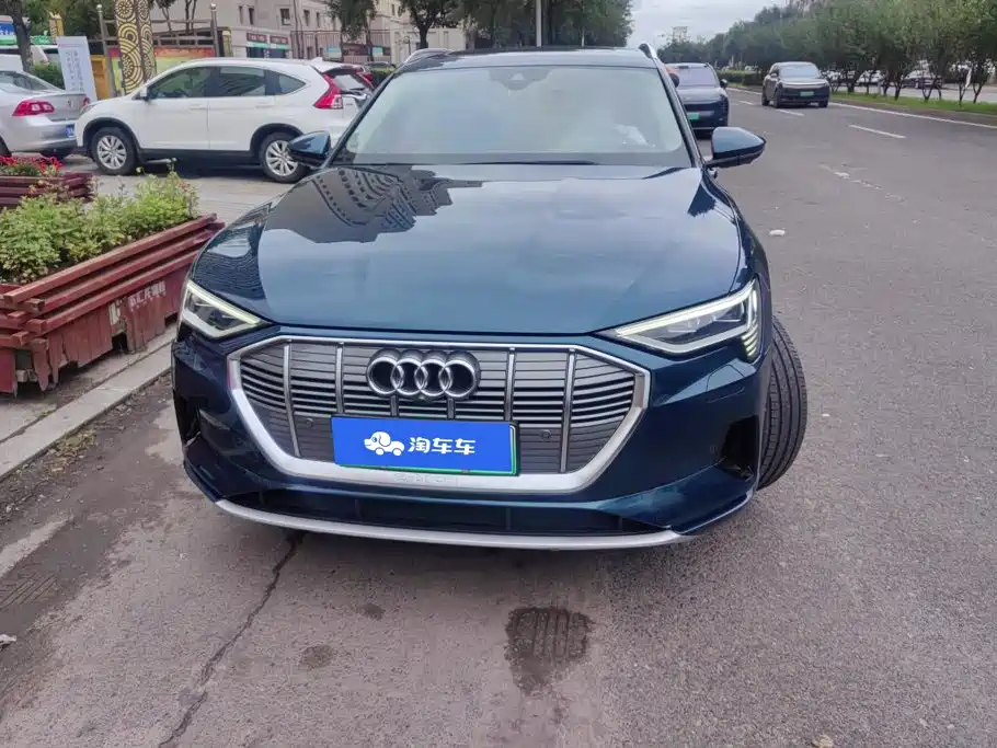 Audi e-tron (Import) — миниатюра 2