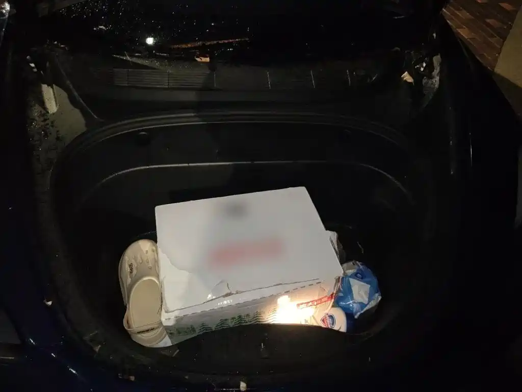 Tesla Model 3 — миниатюра 16