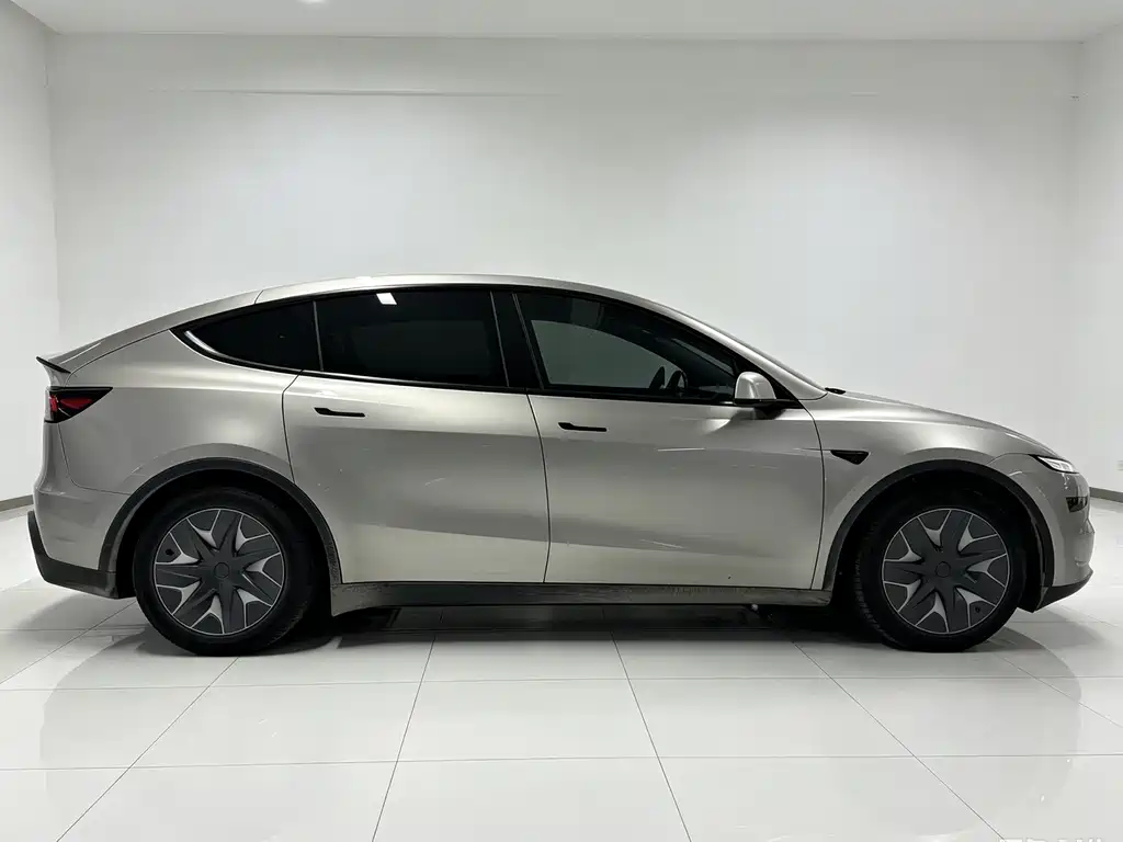 Tesla Model Y L — миниатюра 7