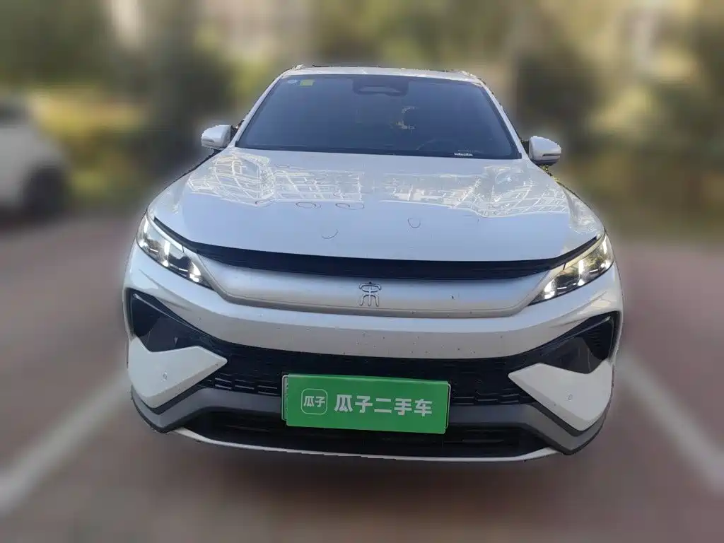 BYD Pro New Energy — миниатюра 2