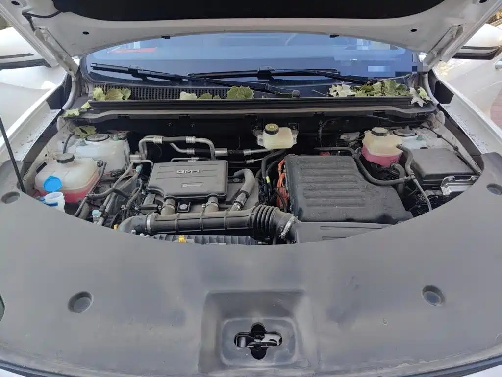BYD Pro New Energy — миниатюра 16
