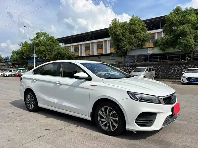 2019 Geely Binrui
